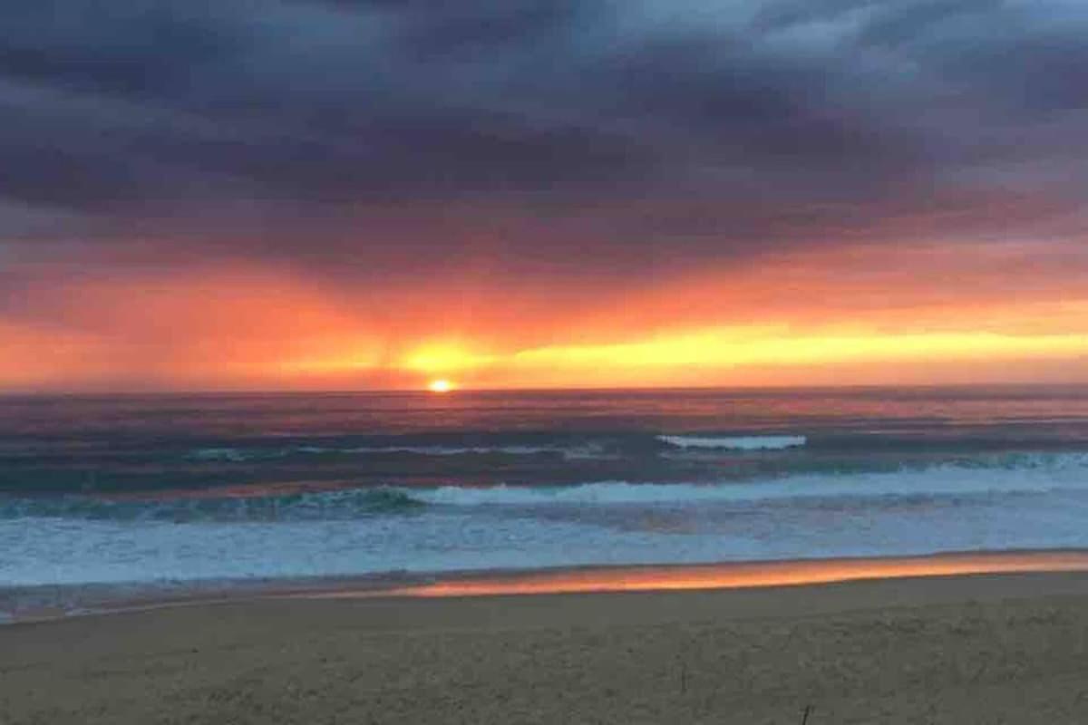 La Graviere, Cozy Studio Wifi & Parking 20M Ocean Surf Plage Soorts-Hossegor Luaran gambar