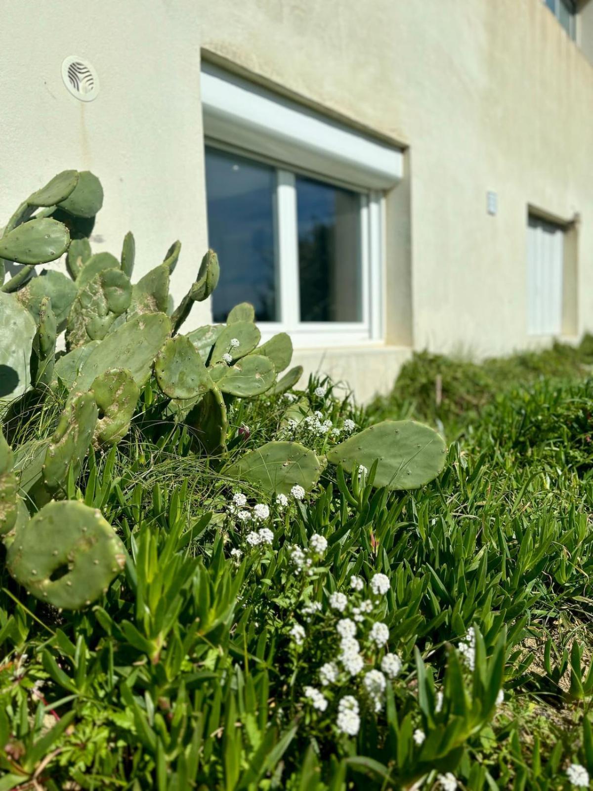 La Graviere, Cozy Studio Wifi & Parking 20M Ocean Surf Plage Soorts-Hossegor Luaran gambar